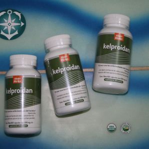 kelproidan2